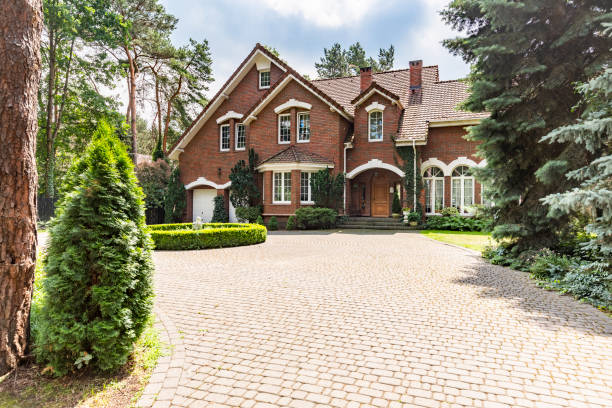 Best Driveway Paver Repair  in Paris, TN