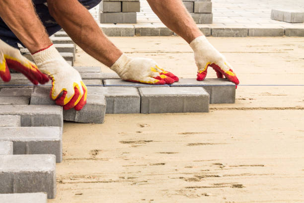 Best Local Driveway Pavers  in Paris, TN