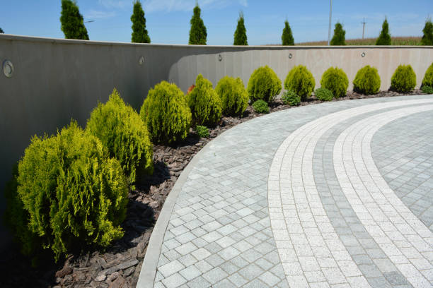 Reasons to Select Us for Your Driveway Paving Requirements in Paris, TN